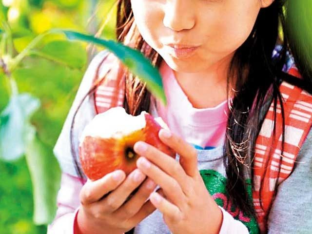 果実の里 原田農園