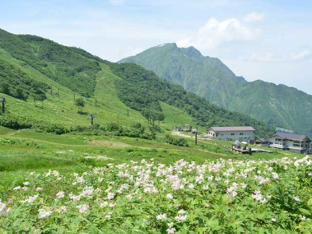 みなかみ山岳ガイド協会