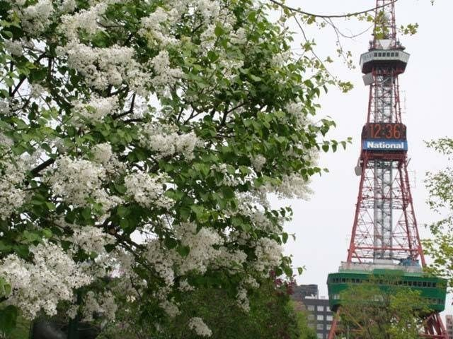 春の北海道旅行 天気と観光のポイント