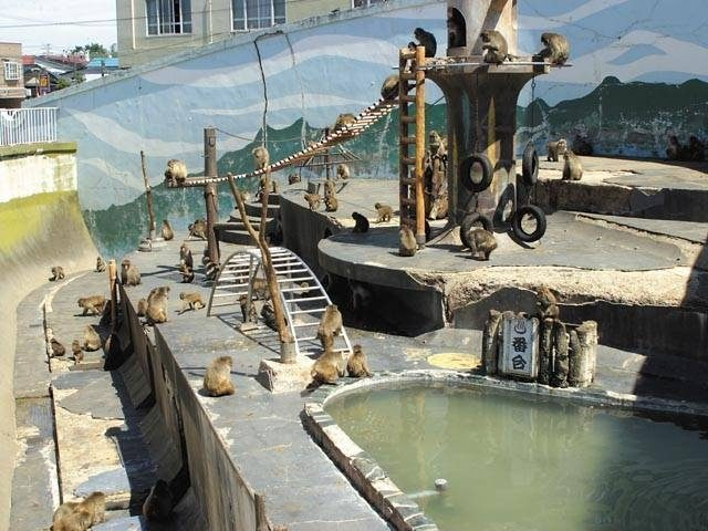 函館市熱帯植物園