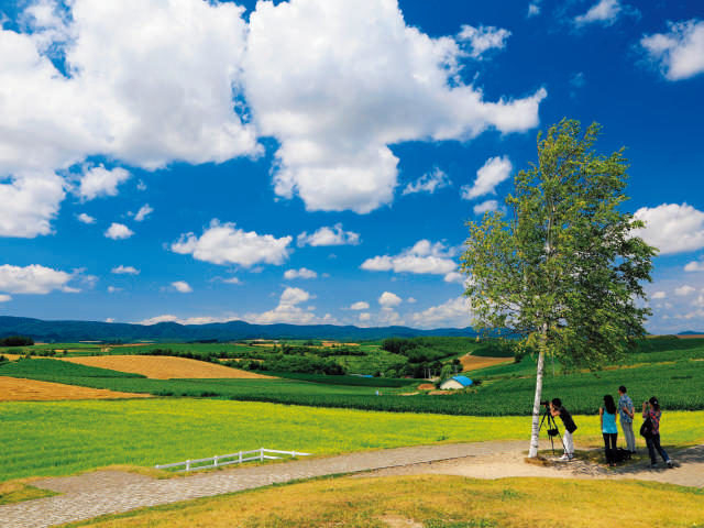 【美瑛の丘×モデルコース】⑨牧草ロールのオブジェの前で記念撮影を「新栄の丘展望公園」