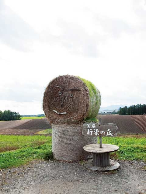 【美瑛の丘×モデルコース】⑨牧草ロールのオブジェの前で記念撮影を「新栄の丘展望公園」