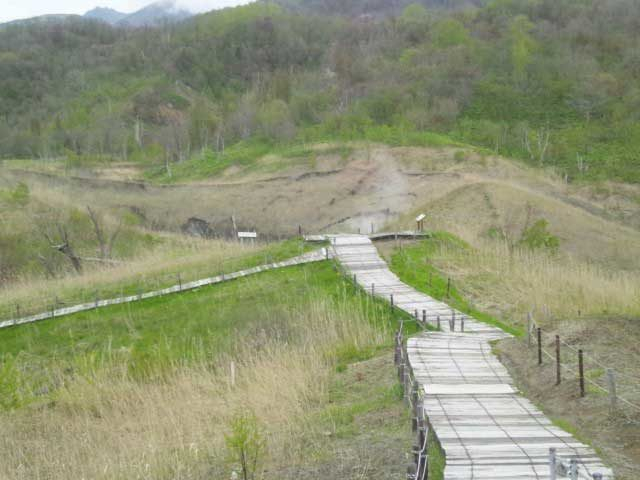 西山山麓火口散策路