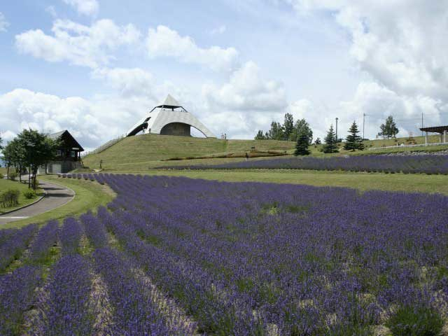 【美瑛の丘×モデルコース】⑤美瑛の丘や大雪山連峰を一望できる展望公園「北西の丘展望公園」