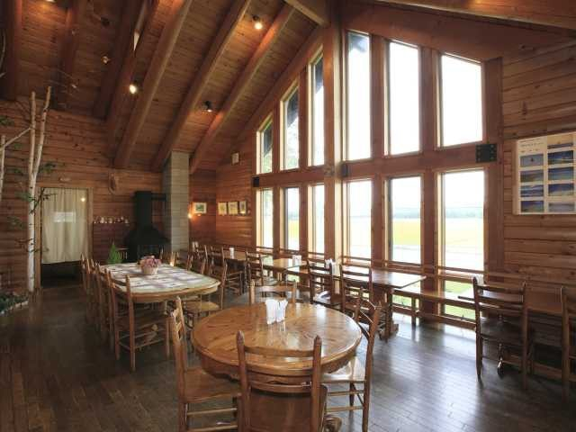 【美瑛のおすすめ野菜ランチ】目でも舌でも楽しめる旬の野菜メニュー「caferest 木のいいなかま」