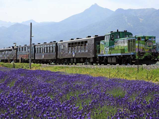 【富良野・美瑛・旭川×エリア内交通情報】富良野・美瑛の移動手段