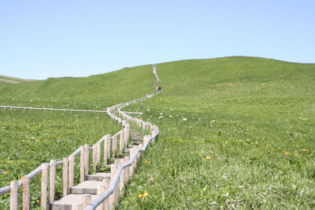 春(4月・5月・6月)