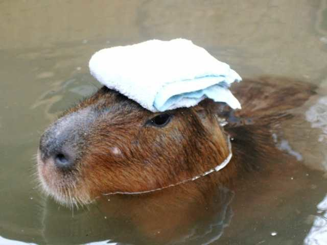 ノースサファリサッポロ