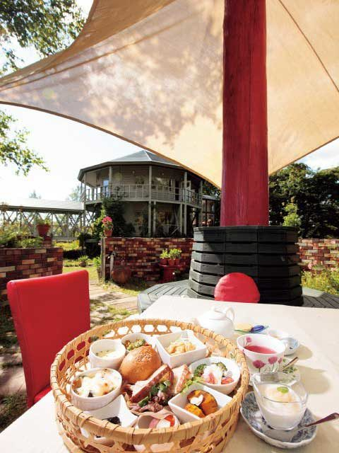 森のランチ ピクニック