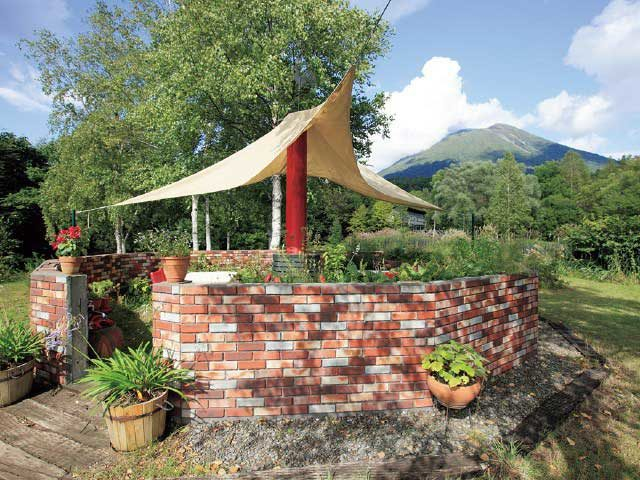 森のランチ ピクニック