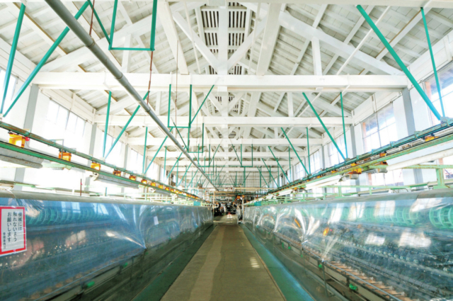 【富岡製糸場観光×モデルコース】 国宝 繰糸所