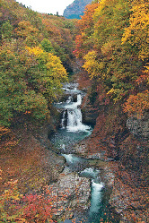 四季の表情をチェック!