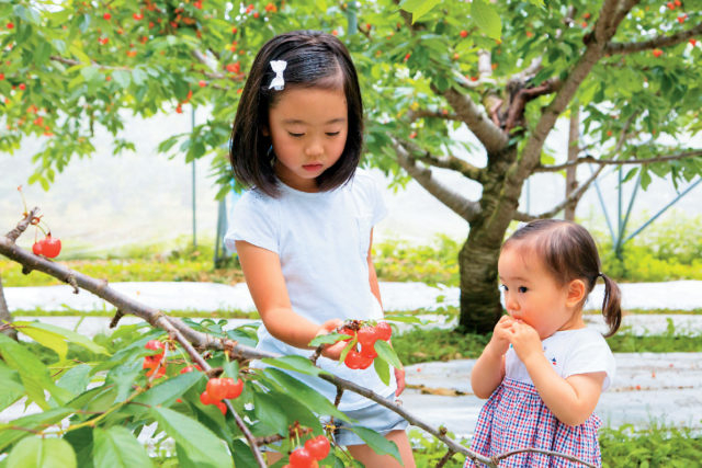 みなかみフルーツランド モギトーレ
