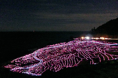 冬限定のイルミネーション