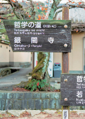 哲学の道ってこんなところ