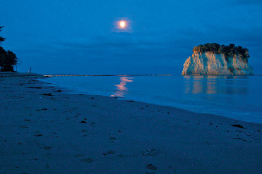 夜はライトアップ