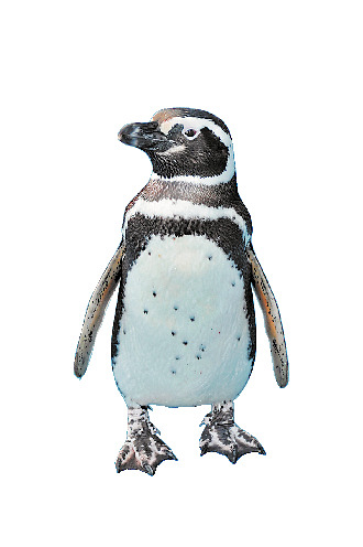 のとじま水族館