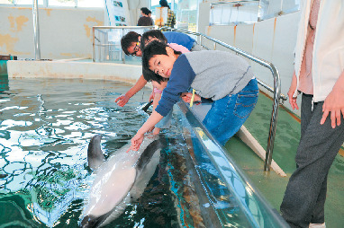 のとじま水族館
