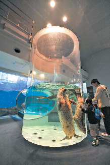 のとじま水族館