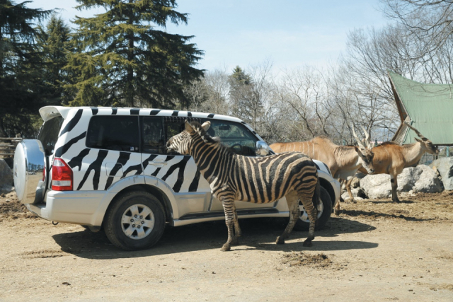 プライベートツアー