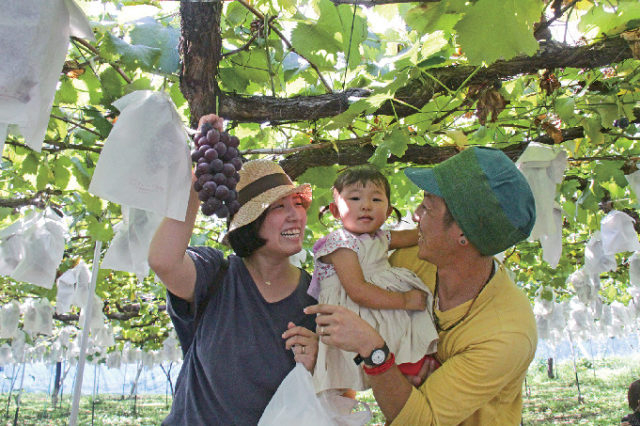 榛東村ぶどう郷