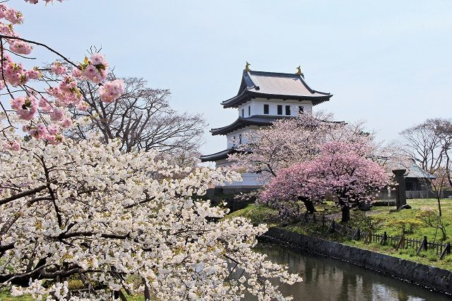春の北海道旅行 イベント