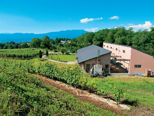 【群馬の遊びスポット】ワイン造りの工程を学べる「奥利根ワイナリー」
