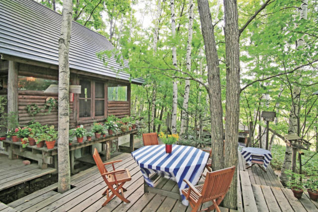 【美瑛のおすすめ野菜ランチ】森の中にある隠れ家カフェで野菜たっぷりラクレット「Cafe de La Paix」