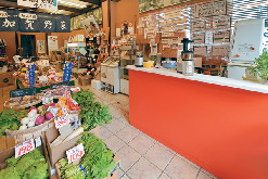 加賀野菜・地物野菜なかまさ