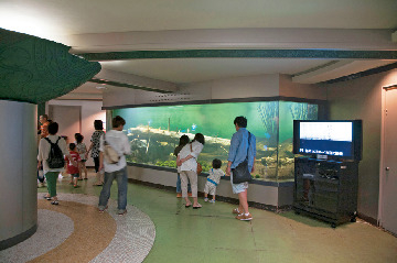 マリモ展示観察センター