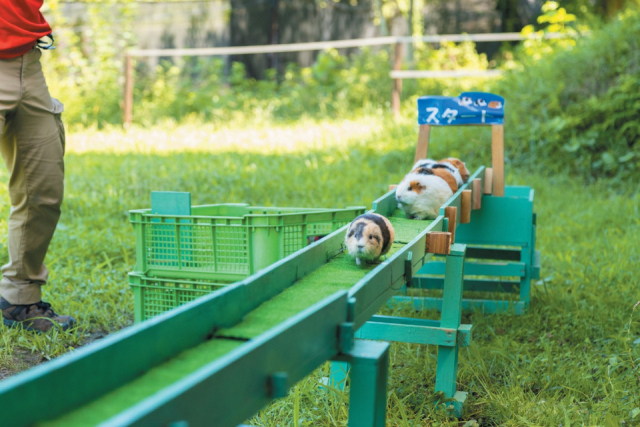 ふれあいパーク