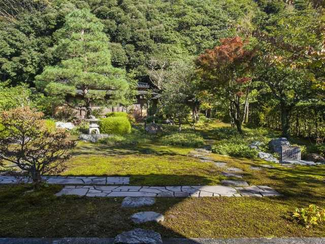 【より深く味わうためのキーワード】茶の湯文化