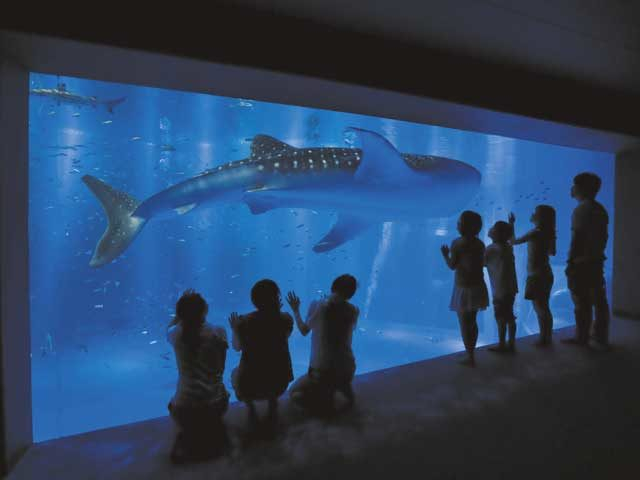 のとじま水族館
