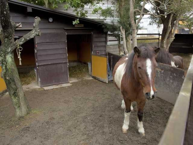 【奥能登×さいはてカフェ】選りすぐったコーヒー豆で淹れる珠玉の味を堪能「鈴々堂」