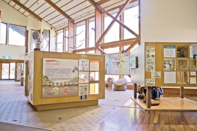 もりのパレット川湯エコミュージアムセンター