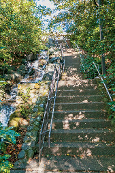 この小径を歩きたい