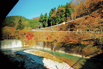 湯蒸しでふっくら!絶品のうな重「お食事処 くれない」