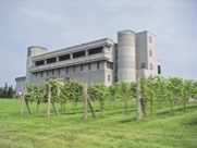 【十勝・帯広のおすすめの観光&グルメスポット】いけだワイン城