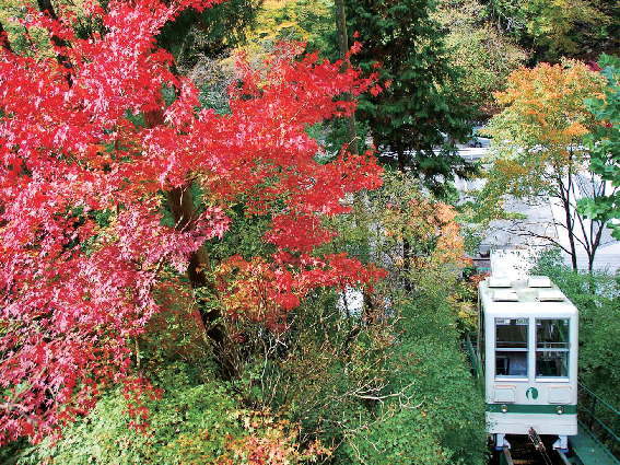 景風流の宿 かのうや・別邸そらの庭