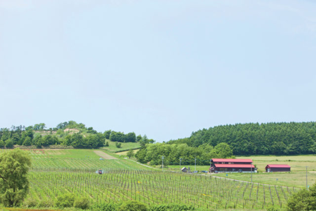 宝水ワイナリー