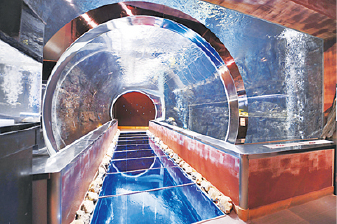 群馬の人気道の駅ランキング6位 道の駅 みなかみ水紀行館