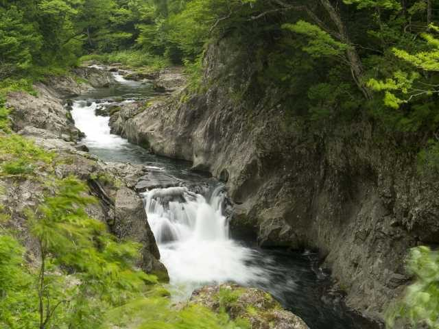 【下北半島×ドライブ 2日目⑥】原生林の中の渓流周辺は散策ポイントの宝庫「薬研渓流」