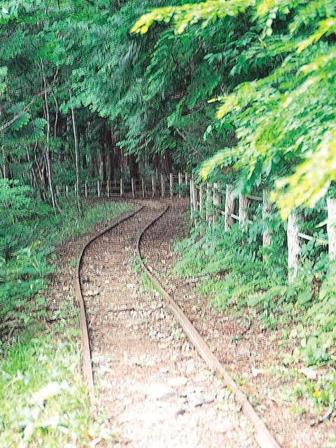 【下北半島×ドライブ 2日目⑥】原生林の中の渓流周辺は散策ポイントの宝庫「薬研渓流」