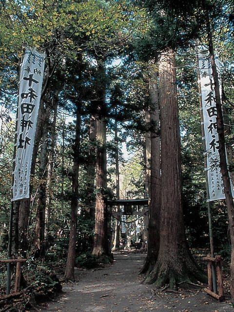 十和田神社