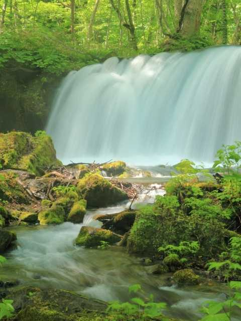 奥入瀬渓流