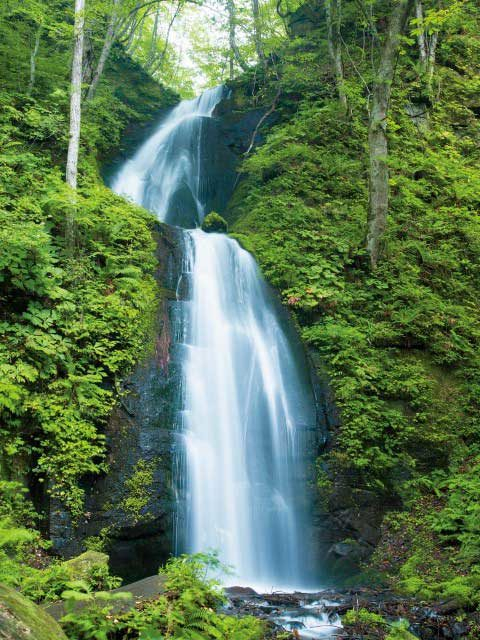 奥入瀬渓流の見どころ③ 雲井の滝