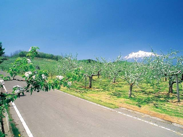 【青森・弘前】岩木山とは?