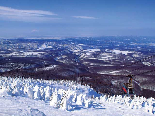 寒さが生む不思議な光景!八甲田の樹氷