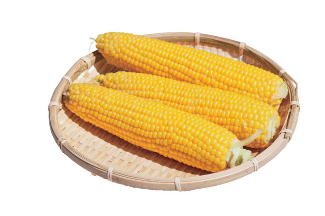 恵庭アグリ企画 吉田農場