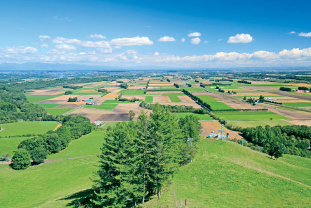 なぜ十勝・帯広でファームレストラン?